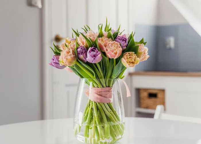 Porta Baltica - 3* Sopot